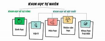 Khoa Học Tự Nhiên Trong Tiếng Anh