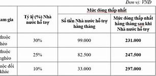 Nhà Nước Hỗ Trợ Đóng Bảo Hiểm Xã Hội Tự Nguyện Là Gì Ạ Ạ